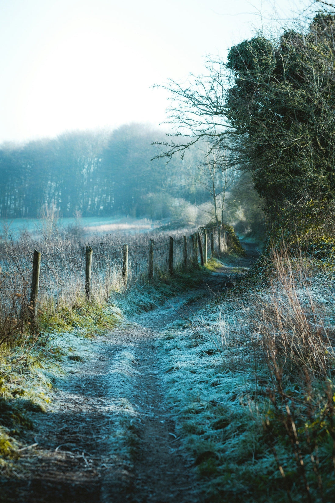 5 Fitness Backed Tips to Stay Healthy This Winter