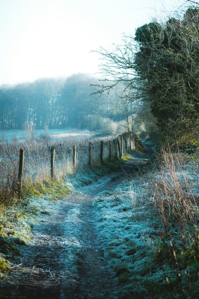 5 Fitness Backed Tips to Stay Healthy This Winter
