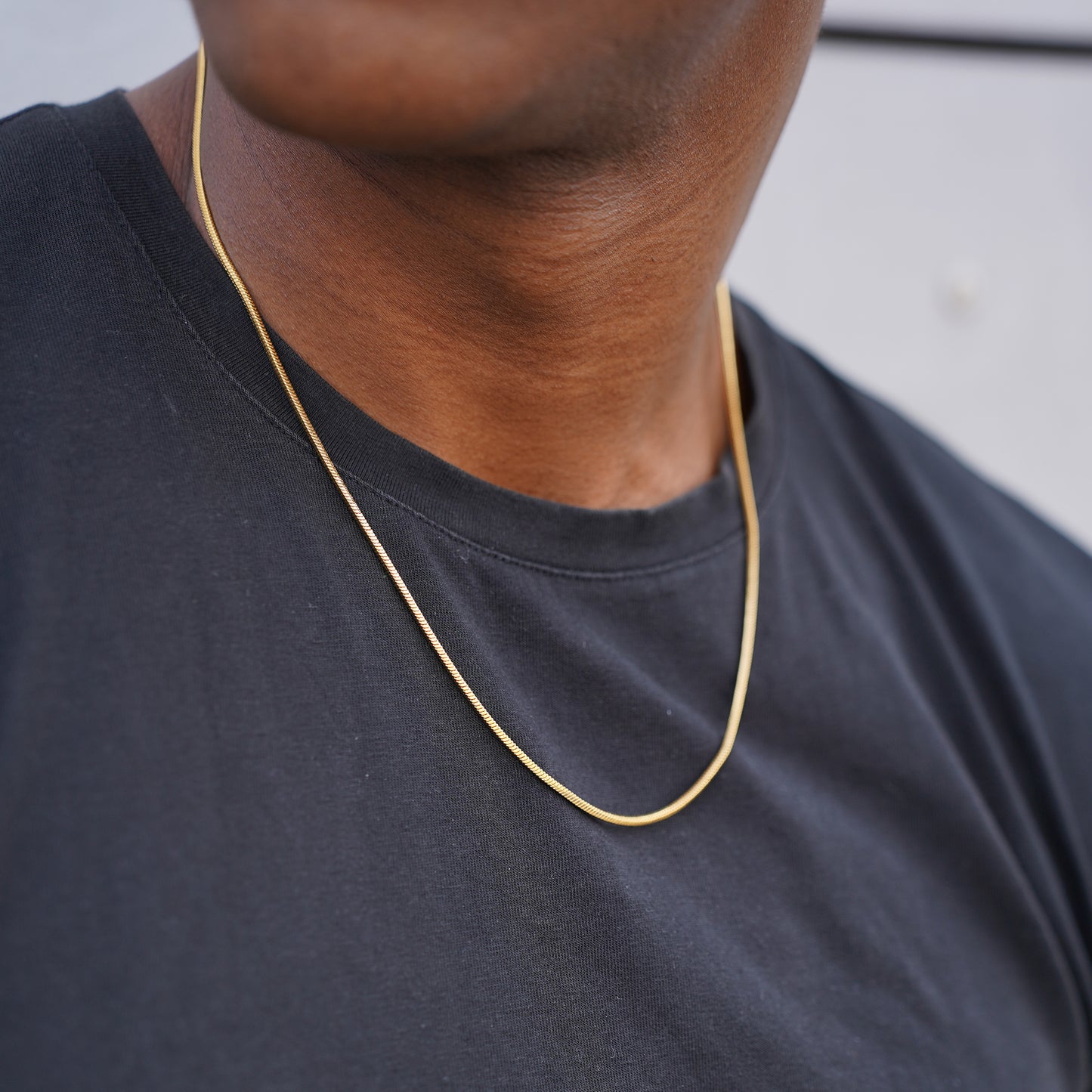 Thomas & George Gold Snake Chain Necklace